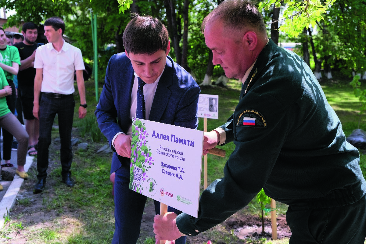 Социальный проект аллея памяти
