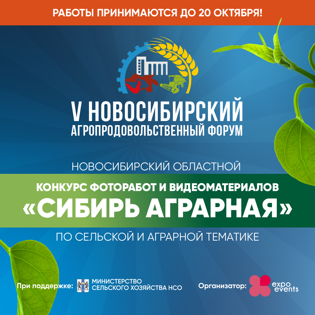 Национальная идеология. Сибирь форум новосибирск. Форум для девелоперов спб. Дикоросы форум сибирского гостеприимства. Строительный форум.