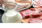 Больше молока и мяса в 2022 году: новые инвестпроекты в АПК увеличат производство продукции животноводства в регионе