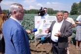Овощехранилища объёмом 19 тысяч тонн и новую систему мелиорации введут в эксплуатацию в Ордынском районе