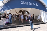 Дни культуры Новосибирской области в разных форматах: Наши артисты и галеристы вышли на улицы Минска, навстречу белорусам
