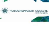 Мобильный сервис «Новосибирская область» вошел в шорт-лист Премии Рунета 2020