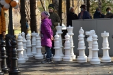 «Шахматный» сквер открылся в Краснообске по нацпроекту «Жилье и городская среда»