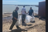 Берег Новосибирского водохранилища очистили от мусора в рамках марафона «Чистые берега Сибири»