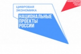 До 300 млн рублей могут получить новосибирские IT-компании благодаря национальной программе