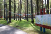 Почти 100 тысяч юных жителей региона отдохнули в детских лагерях с начала лета