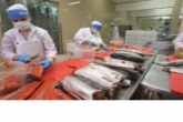 Сферу услуг, торговлю и производство продуктов питания ждут масштабные проверки
