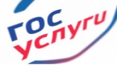 Жители Новосибирской области за полгода заказали в пять раз больше услуг через портал Госуслуг