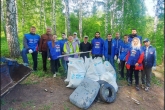 #Марафонзеленыхдел провели в Новосибирской области