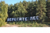 В рамках нацпроекта «Экология» регион перевыполнил план по искусственному лесовосстановлению
