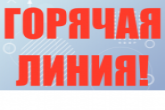Прямая линия о мерах социальной поддержки семьям с детьми пройдет в Правительстве Новосибирской области