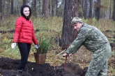 Кедры, сосны и лиственницы: 120 тысяч деревьев высадят в регионе по нацпроекту