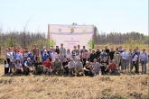 12 тысяч сосен высадили в Искитимском районе в память о воинах Великой Отечественной войны