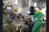 Больше сыров и масла стали производить в Новосибирской области в 2023 году