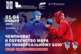 Спортсмены из 36 стран приедут в Новосибирскую область на чемпионат и первенство мира по универсальному бою