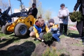 Более 110 тысяч молодых деревьев появится в регионе благодаря эколого-патриотической акции