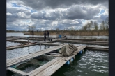 По итогам 2022 года вылов рыбы в Новосибирской области увеличился на 15% благодаря мерам господдержки