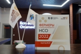Обучение рестораторов и фермеров: в регионе стартуют новые образовательные курсы для новосибирских предпринимателей