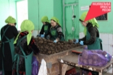 На 50 часов быстрее стали упаковывать продукцию на новосибирском предприятии по нацпроекту