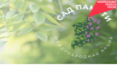 Более 200 «Садов памяти» появится в регионе