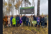 Более 150 тысяч молодых деревьев будет посажено в регионе этой осенью в рамках нацпроекта «Экология»