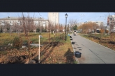 Более 100 зелёных зон появились в регионе по нацпроекту на объектах благоустройства в 2021 году