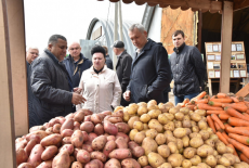 Ордынский производитель картофеля может стать поставщиком сырья для нового завода по производству снеков