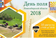 День поля Новосибирской области 2018
