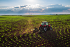 Россельхозбанк вдвое увеличил объем кредитования аграриев Новосибирской области в I квартале 2022 года