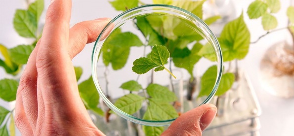 ФГБУ «Россельхозцентр» - 10 лет!