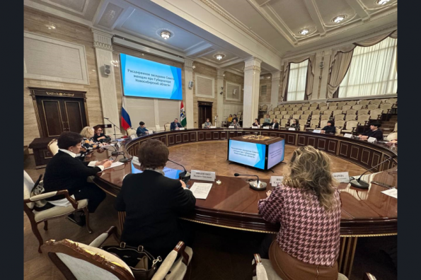В Новосибирской области разработают региональный план по реализации Национальной стратегии действий в интересах женщин