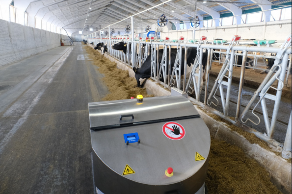 Опыт использования молочными хозяйствами двух районов роботов-дояров изучат в масштабах всей области
