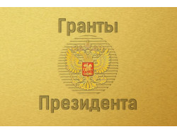 Более 50 некоммерческих организаций Новосибирской области получат гранты Президента РФ