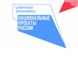 До 300 млн рублей могут получить новосибирские IT-компании благодаря национальной программе