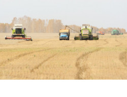 Андрей Травников поздравил аграриев Маслянинского и Сузунского районов с завершением уборки зерновых
