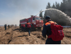Пожароопасный сезон в Новосибирской области начнется с 23 апреля
