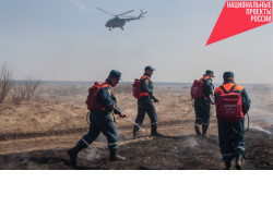 Более 2 000 человек и 700 единиц техники защищали Новосибирскую область от лесных пожаров в 2020 году