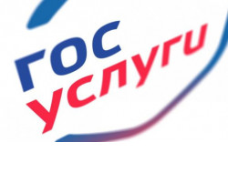 Жители Новосибирской области за полгода заказали в пять раз больше услуг через портал Госуслуг