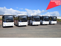 По решению Губернатора 150 автобусов будет приобретено для Новосибирска в преддверии чемпионатов