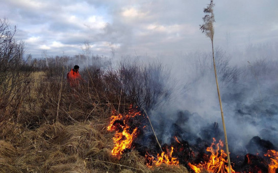 Все пожары в лесах были ликвидированы в течение суток – в регионе завершился пожароопасный сезон