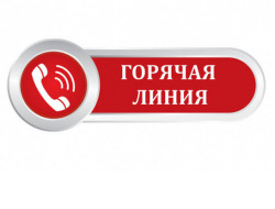 В регионе пройдет горячая линия по мерам соцподдержки ветеранам боевых действий
