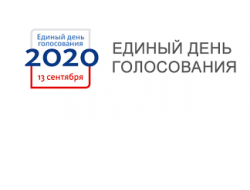 Более 2000 человек станут общественными наблюдателями на предстоящих выборах в Новосибирской области