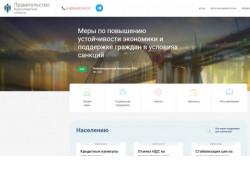 Новый ресурс о мерах поддержки в условиях санкций презентовали в Новосибирской области