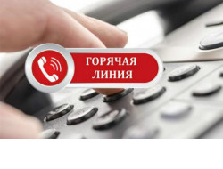 В регионе продолжают работать телефоны горячей линии по противодействию лесным пожарам