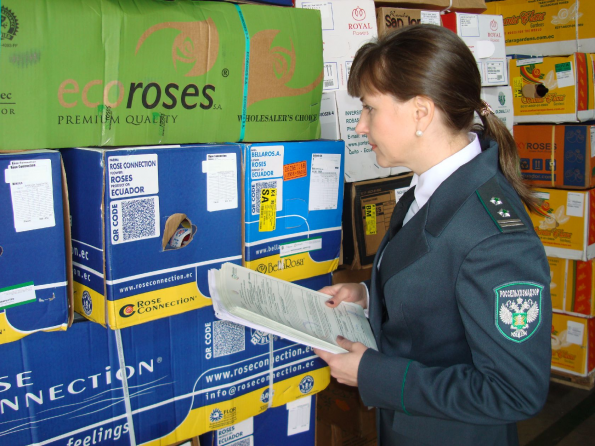 Таможня дает добро на экспорт