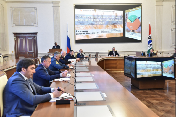 Новосибирская область продолжает наращивать объемы переработки сельхозпродукции и площади хранения зерна