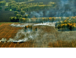 Проверка техники, обновление минполос и уборка мусора: регион готовится к пожароопасному сезону