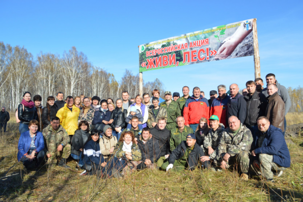 Более 120 тысяч молодых деревьев будет высажено в Новосибирской области в рамках экологической акции «Живи, лес!»