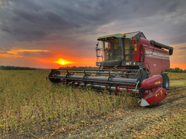 Правительство утвердило порядок предоставления единой лизинговой субсидии 