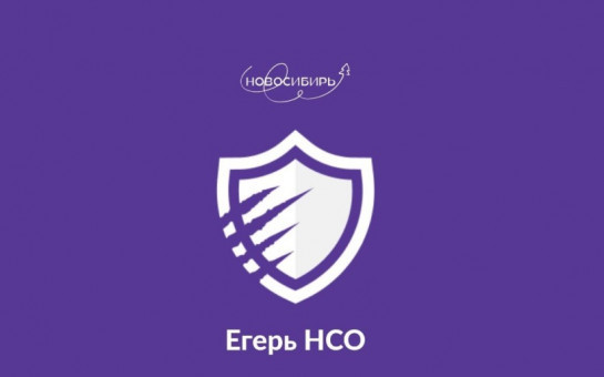 Проверка по QR-коду: сервис для контроля охотников и поимки браконьеров стал еще удобнее
